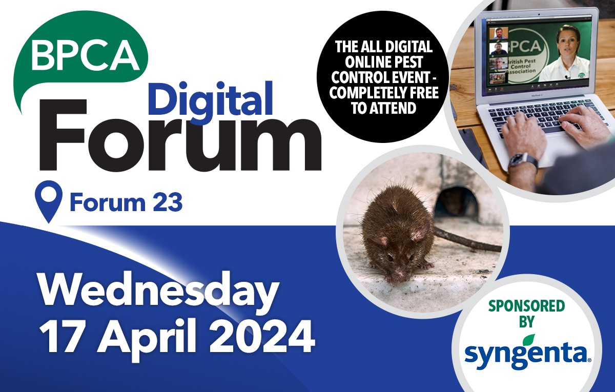 digital forum 23 digital forum 23